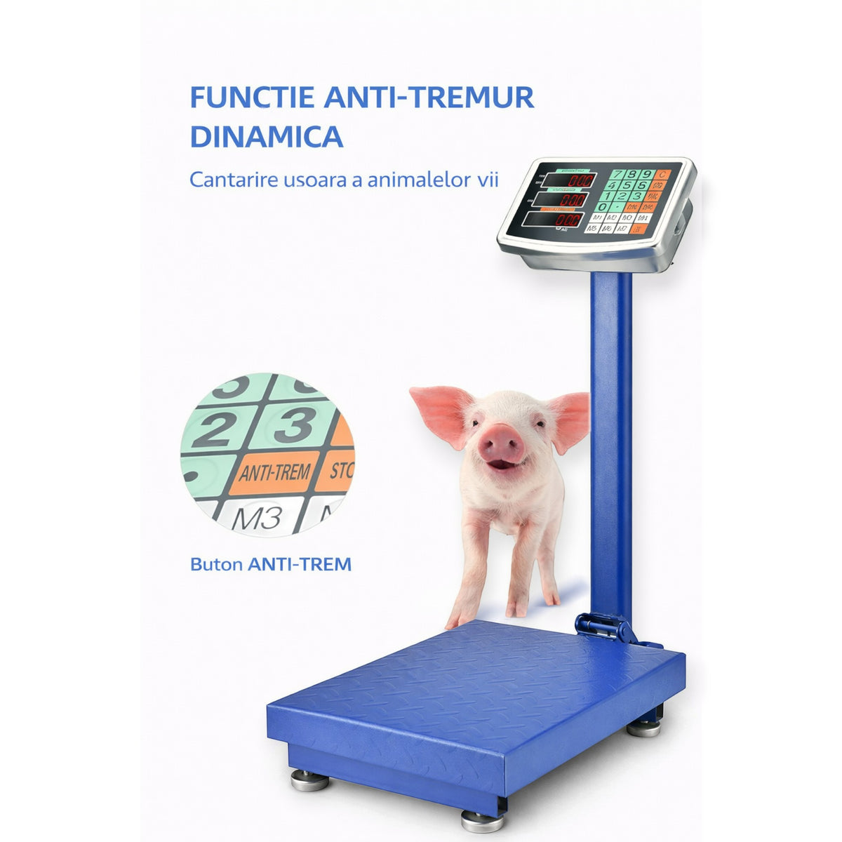 Cantar electronic cu platforma 700 kg, brat rabatabil, afisaj LCD, baterie interna