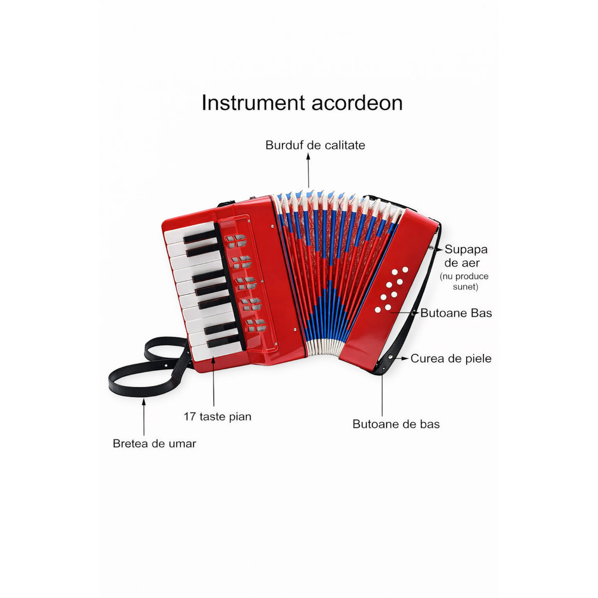 Acordeon pentru incepatori si copii, 17 clape, 8 butoane bass, 30 cm